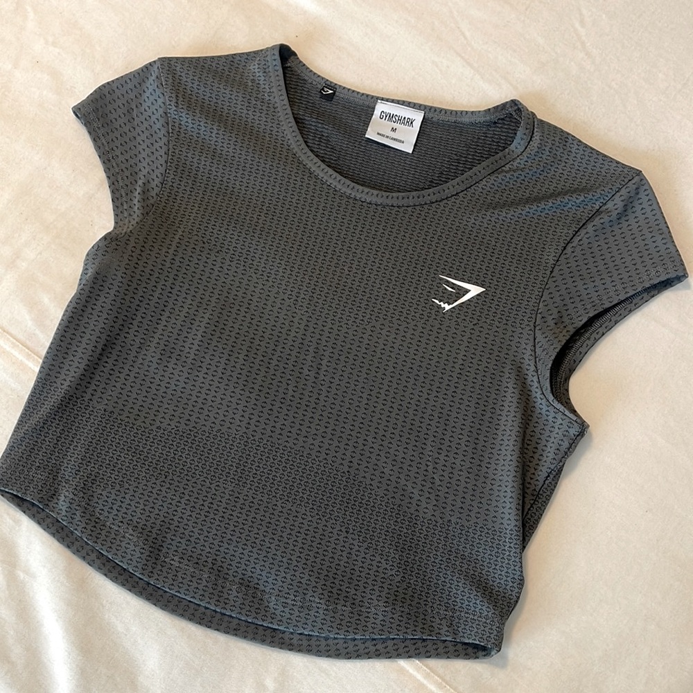 Gymshark Gray Mesh Crop Top